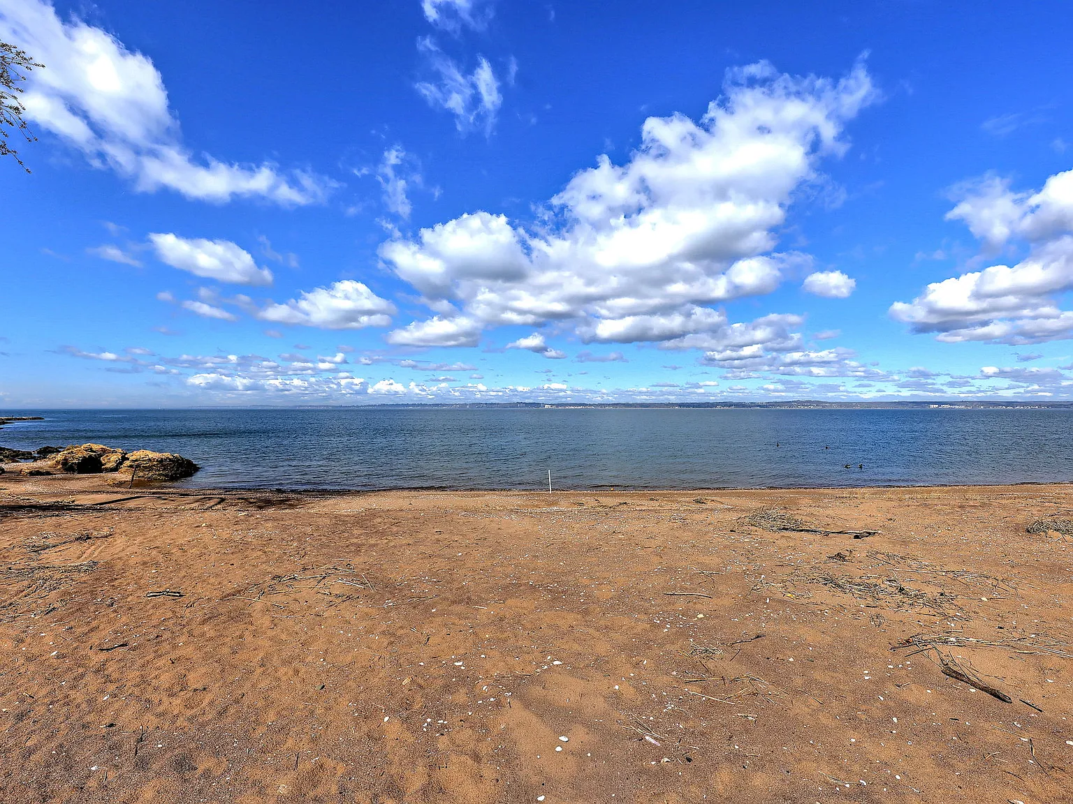 2 bed, 1.5 bath, $2,000 — Photo 1