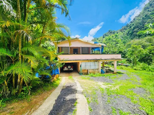 149 Prairie, Orocovis, PR 00720