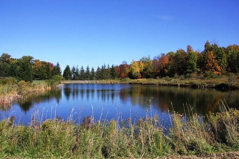 3rd image of Richmond