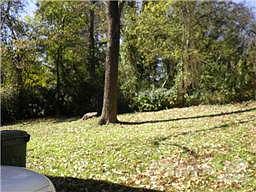 533 Gallaher Backyard