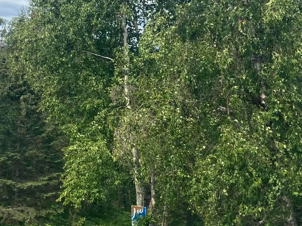 2541 Longview Cir, Wasilla, AK 99654