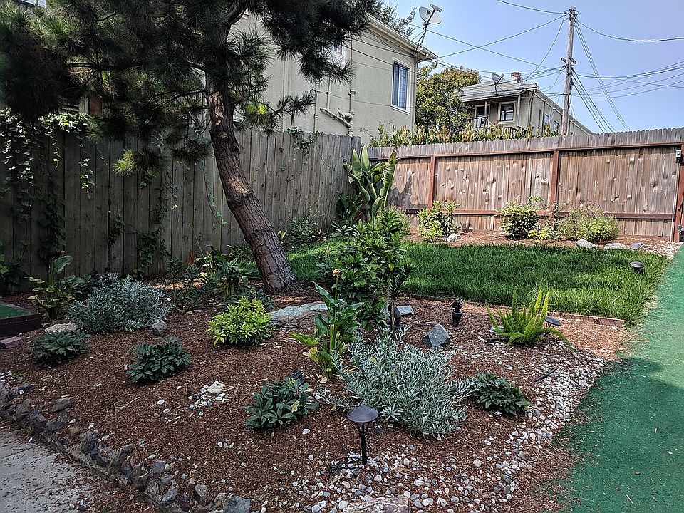 Front yard