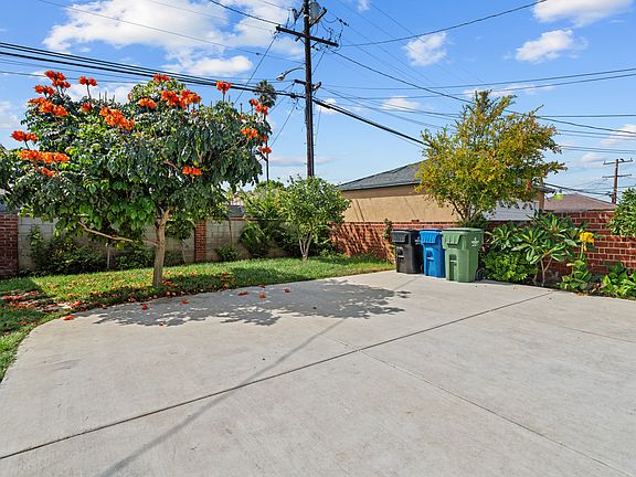 Backyard fruit trees