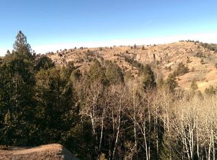 899 Little Topsey Dr, Cripple Creek, CO 80813