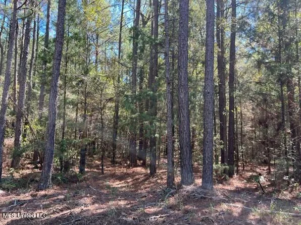 Porter Ln, Florence, MS 39073