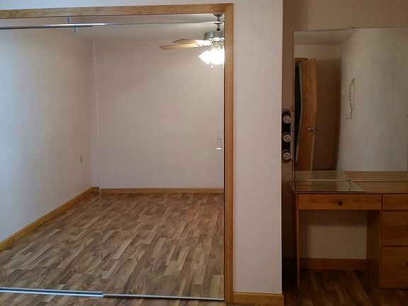 Mirrored Closet and Vanity