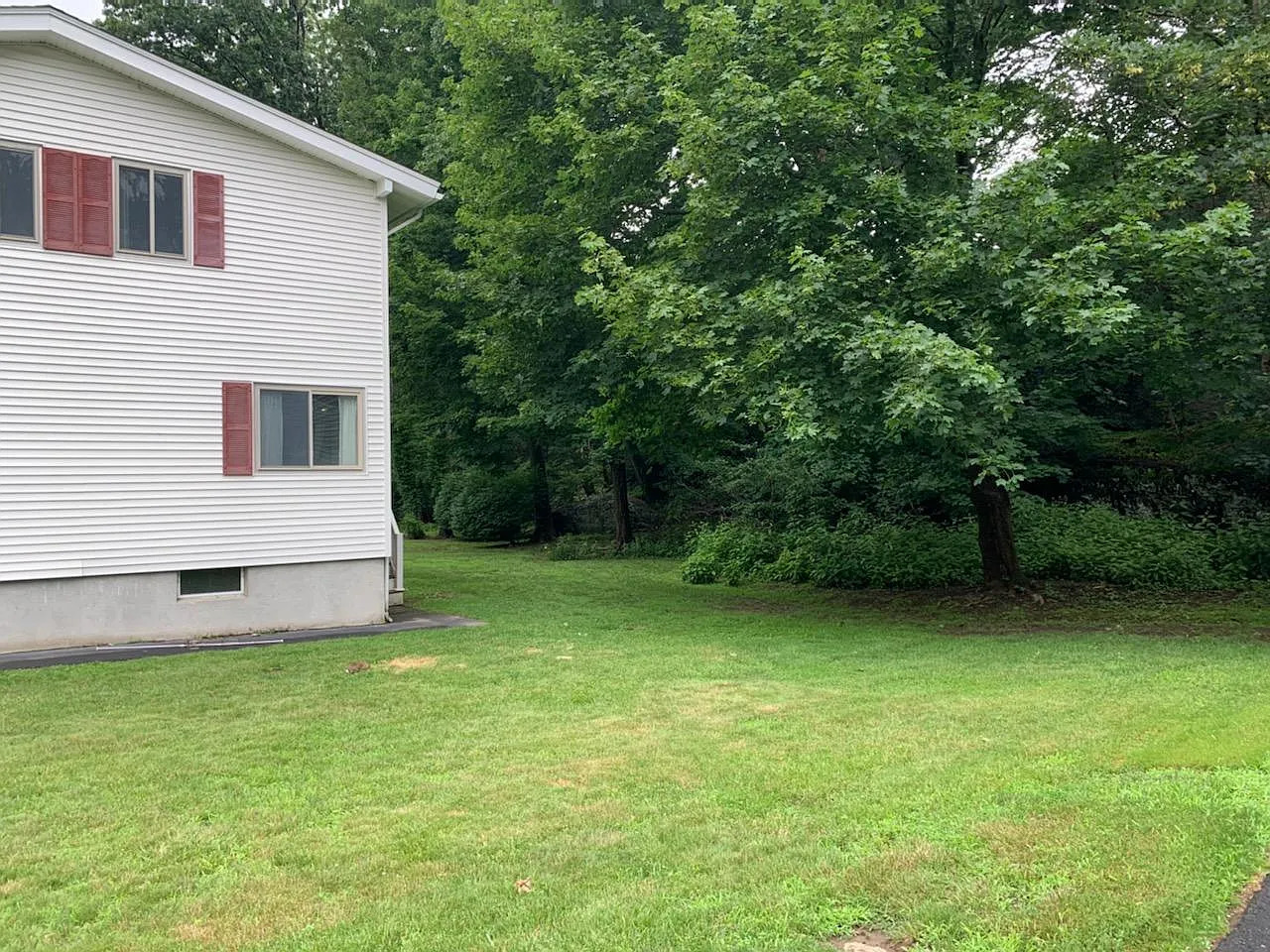 3 bed, 1.5 bath, 2412 sqft, $3,200 — Photo 3
