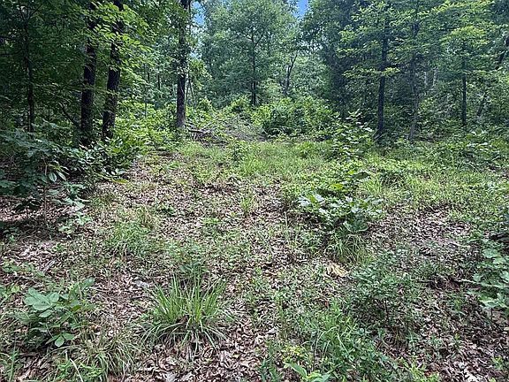 4th image of 4650 Edgemont Rd