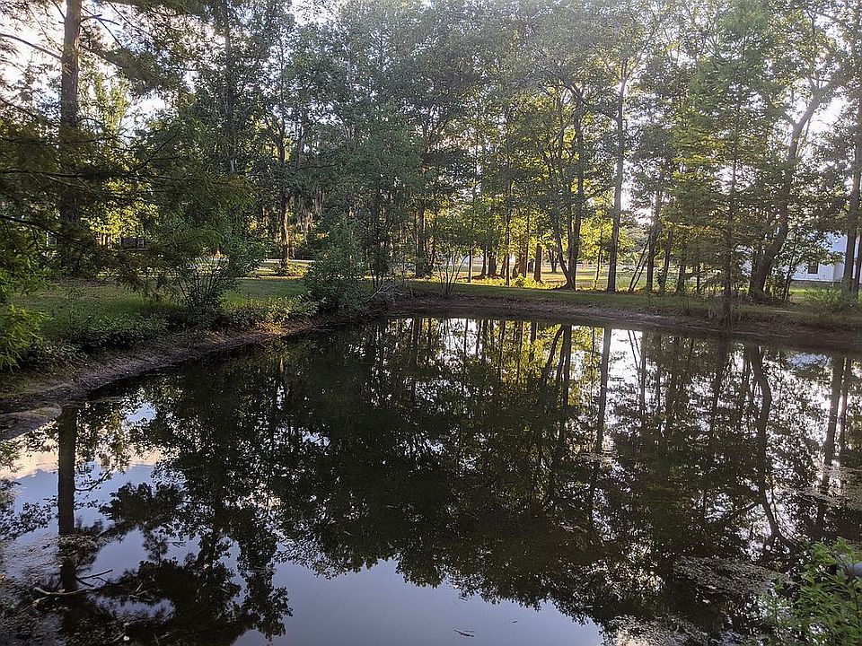 Pond