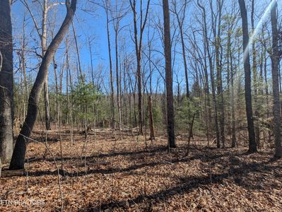 N Fork Dr, Jamestown, TN, 38556