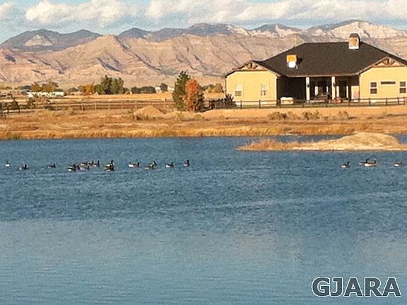 4th image of 1321 Gold Lake Dr