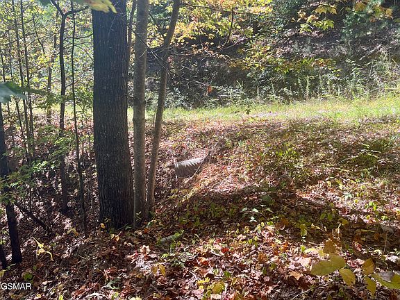 3rd image of 5.61 Acre Creek Hollow Way