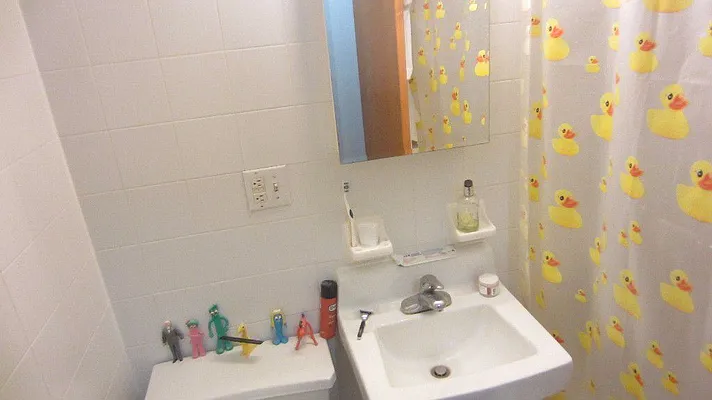 Rented by Jade Stone Real Estate Consulting | media 14