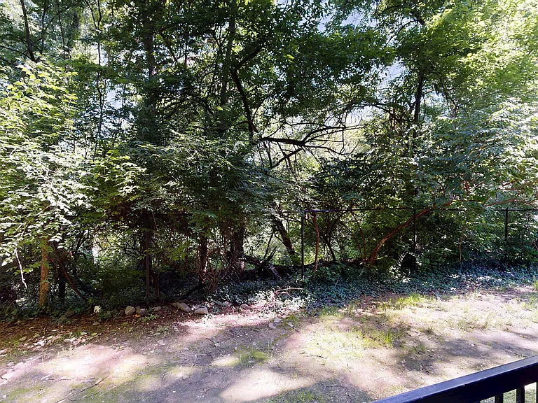 Carrington Hills — Photo 130