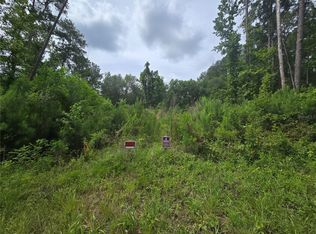 316 Sequoia Dr, Ocklawaha, FL 32179