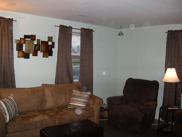 2nd image of 41 Gene Lefevre Rd