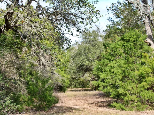 PARCEL 9 Lobo Ln, Columbus, TX 78934
