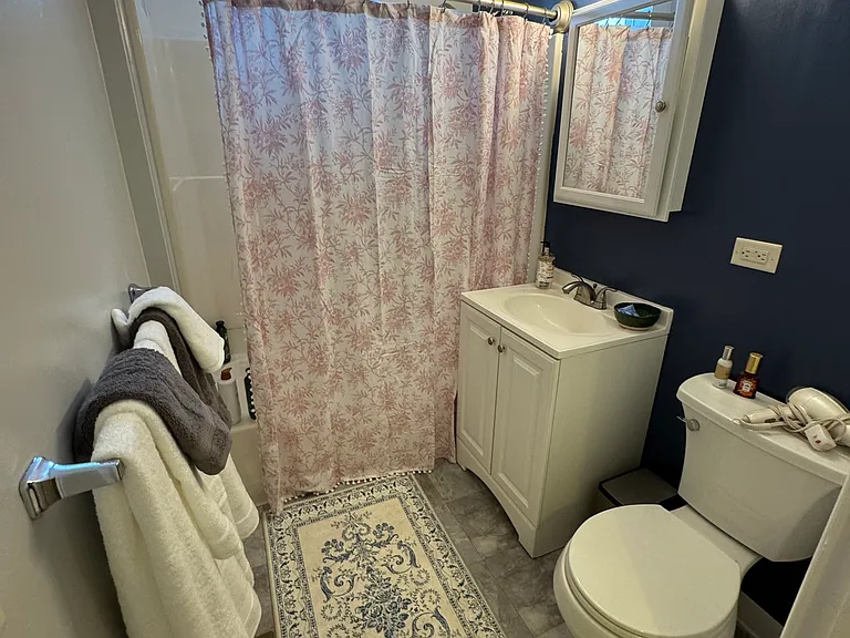 Main floor bathroom