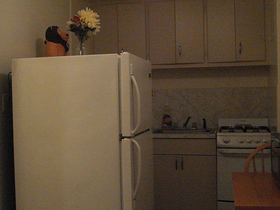 4th image of 465 E Lincoln Ave APT 410