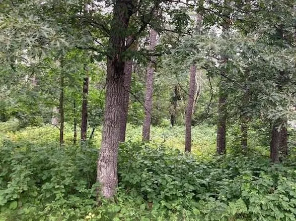 39 & 40 Owl Cir, Pequot Lakes, MN 56472