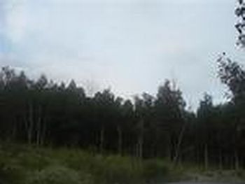 Photo of Mobile Home Lot