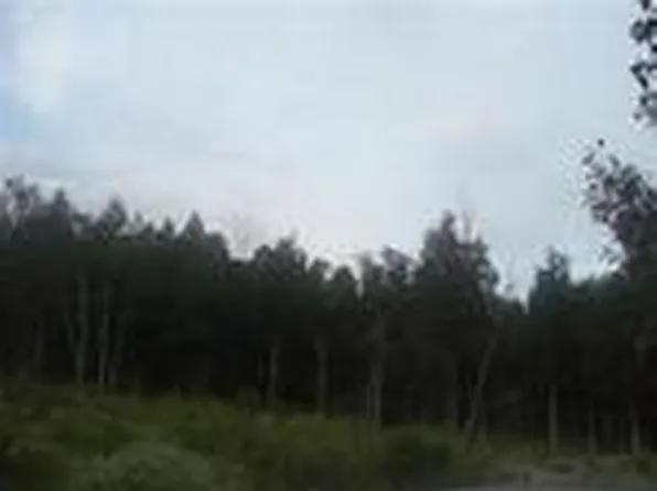 418 Reese Dr, Pennington Gap, VA 24277