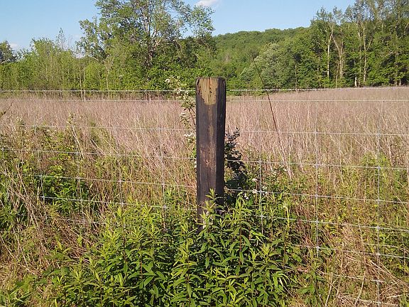 back of property new fence