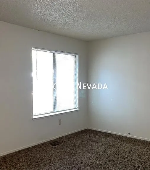 6675 Peppermint Dr — Photo 3