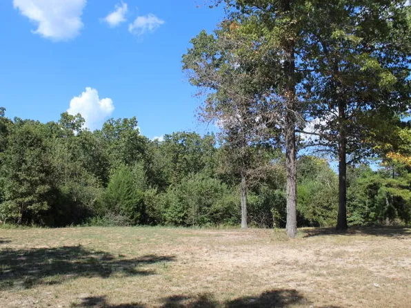 88 Chestnut Lane, Tecumseh, MO 65760