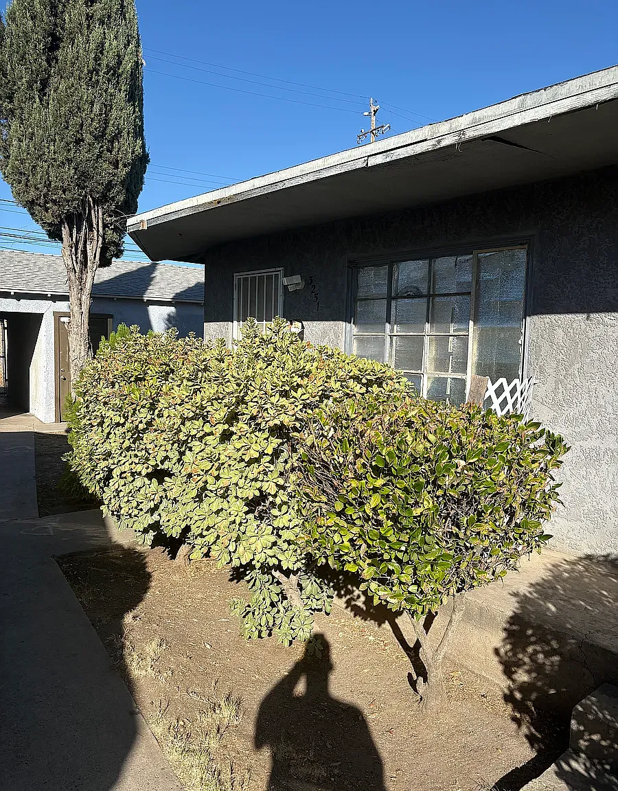 1 bed, 650 sqft, $1,100 — Photo 1