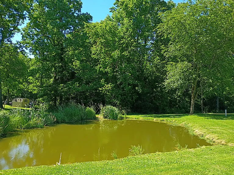 10 Deer Lk — Photo 7