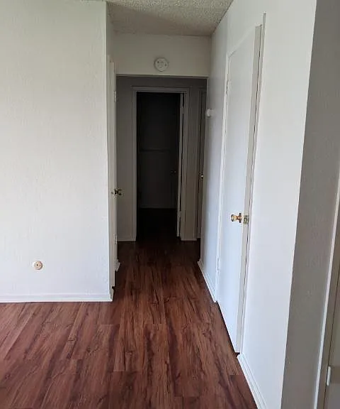 Las Palmas Apartments — Photo 15