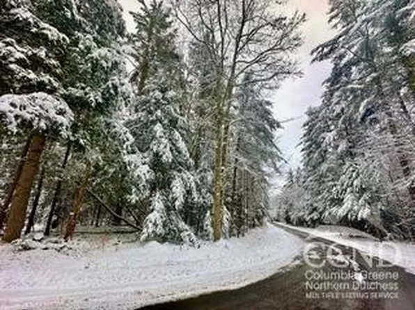 0 Stewart Drive, Windham, NY 12496