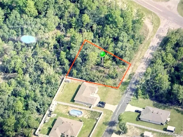 7327 N Lime Dr, Citrus Springs, FL 34433