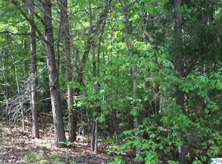 LOT 3 Hickory Ln, Valley Head, AL 35989