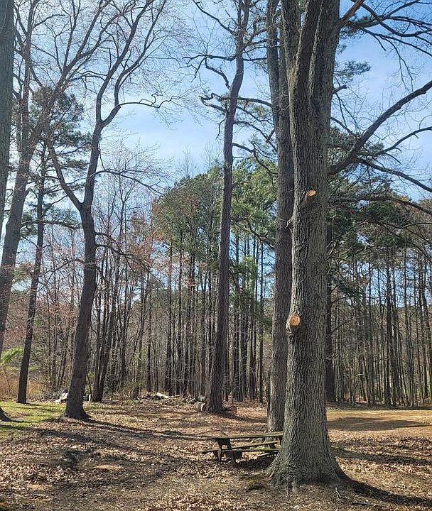 2nd image of Forest Rd