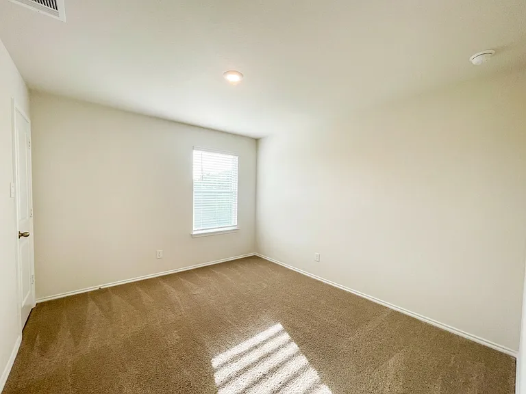 4836 Vogesite Path — Photo 12