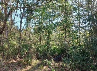 149 Douglas St, Homosassa, FL 34446