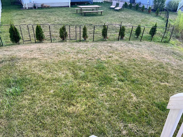 Side yard