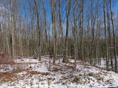 0 Gallitzin Rd, Ashville, PA, 16613