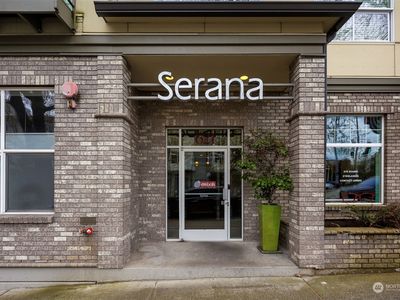 621 5th Avenue N #308, Seattle, WA, 98109