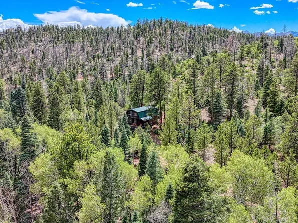 1927 Basin Drive, Cotopaxi, CO 81223