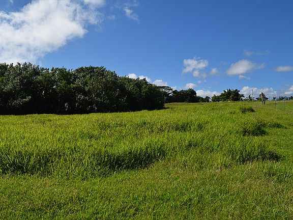 4th image of LOT 1 Lot 1