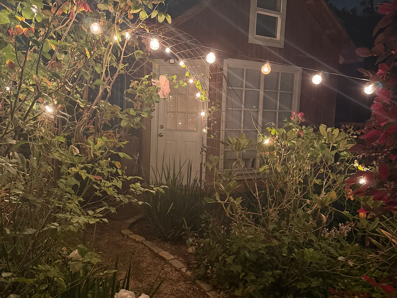 Studio, 200 sqft, $1,800 — Photo 3