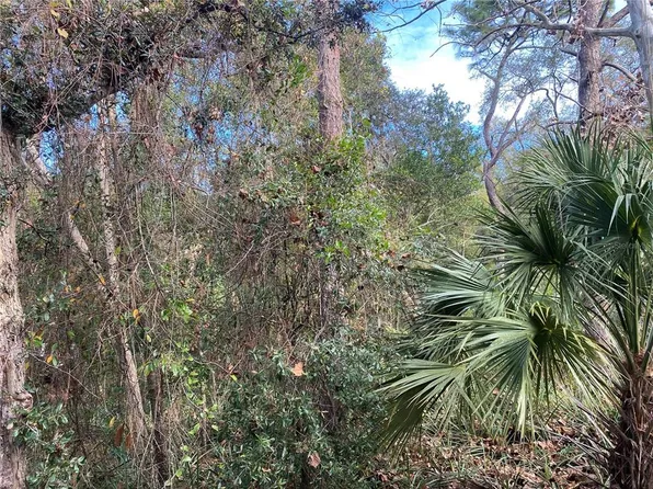 20th St Lot 16, Orange City, FL 32763