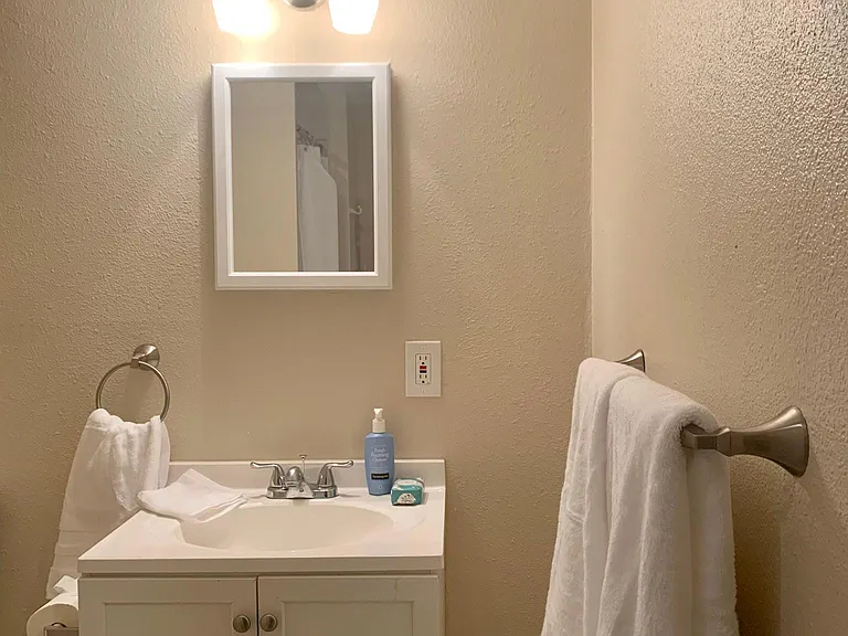 Basement level bathroom (shower)