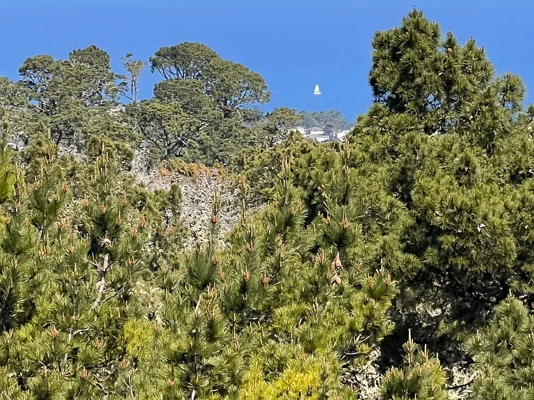Full View of the Monterey Bay