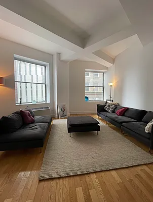 Rented by NY Living Solutions | media 20