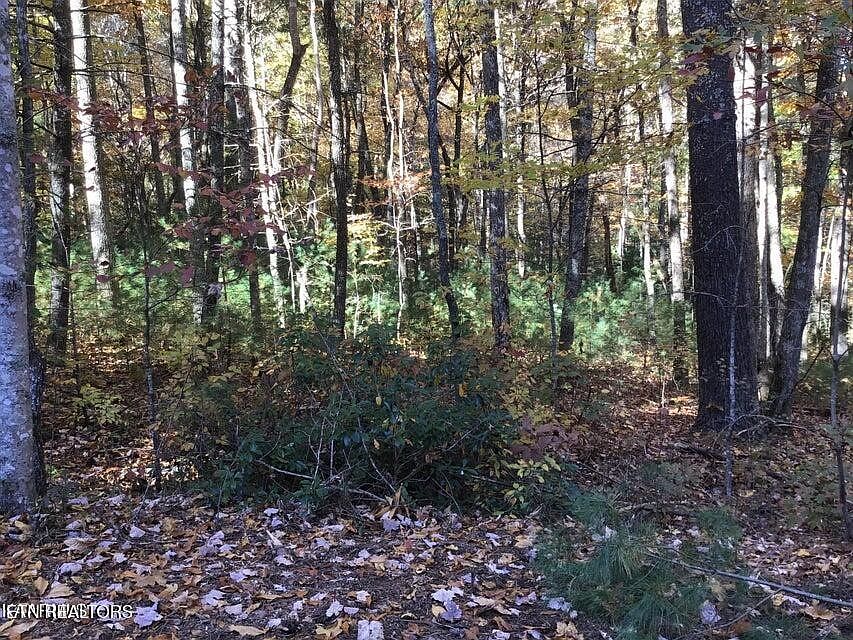 1st image of 30 King John Ln Lot 52