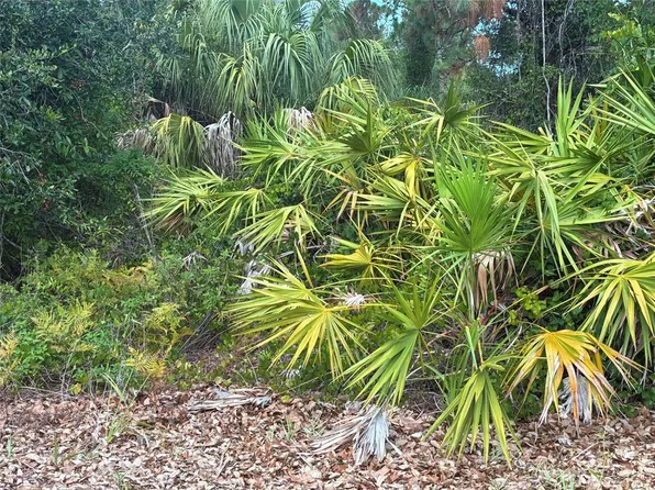 Mendavia Ter Lot 3, North Pt, FL 34286
